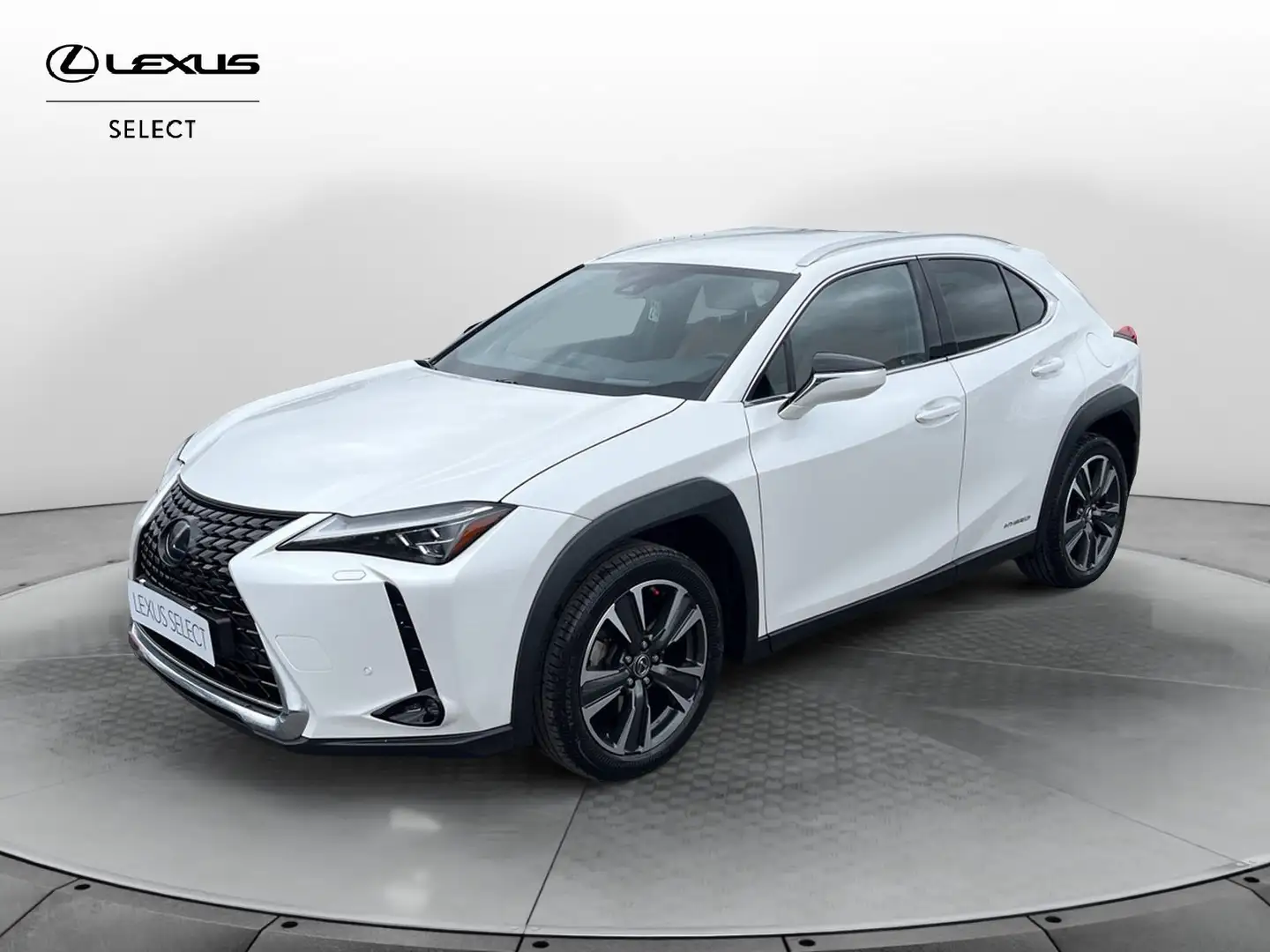 Lexus UX 250h UX 250h 2.0 Luxury 2wd cvt Bianco - 1