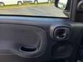 Fiat Panda Panda 1.0 firefly hybrid s&s 70cv 5p.ti Noir - thumbnail 13