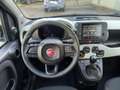 Fiat Panda Panda 1.0 firefly hybrid s&s 70cv 5p.ti Noir - thumbnail 8