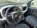 Fiat Panda Panda 1.0 firefly hybrid s&s 70cv 5p.ti Noir - thumbnail 20