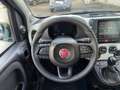 Fiat Panda Panda 1.0 firefly hybrid s&s 70cv 5p.ti Noir - thumbnail 21