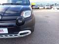 Fiat Panda Panda 1.0 firefly hybrid s&s 70cv 5p.ti Noir - thumbnail 18