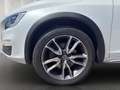 Volvo S60 Cross Country Summum*1.Hand*Leder*AHK*Xenon Weiß - thumbnail 10