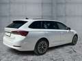 Skoda Octavia Combi 2.0 TDI DSG 4x4 CLEVER MATRIX+NAV Weiß - thumbnail 6