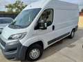 Fiat Ducato TETTO ALTO Blanc - thumbnail 2