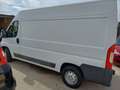 Fiat Ducato TETTO ALTO Blanc - thumbnail 4