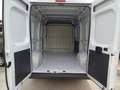 Fiat Ducato TETTO ALTO Blanc - thumbnail 9