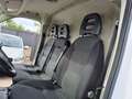 Fiat Ducato TETTO ALTO Blanc - thumbnail 12