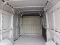 Fiat Ducato TETTO ALTO Blanc - thumbnail 7
