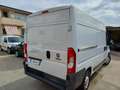 Fiat Ducato TETTO ALTO Blanc - thumbnail 5