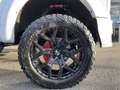 Ford F 150 SHELBY OFFROAD V8 5.0L SUPERCHARGED Wit - thumbnail 39