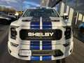 Ford F 150 SHELBY OFFROAD V8 5.0L SUPERCHARGED Wit - thumbnail 9