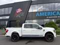 Ford F 150 SHELBY OFFROAD V8 5.0L SUPERCHARGED Beyaz - thumbnail 8