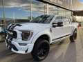 Ford F 150 SHELBY OFFROAD V8 5.0L SUPERCHARGED Blanc - thumbnail 1
