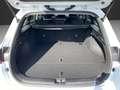 Kia Ceed / cee'd _SW 1.5T 140 VISION Klima Navi Rückfahrkamera Blanc - thumbnail 19