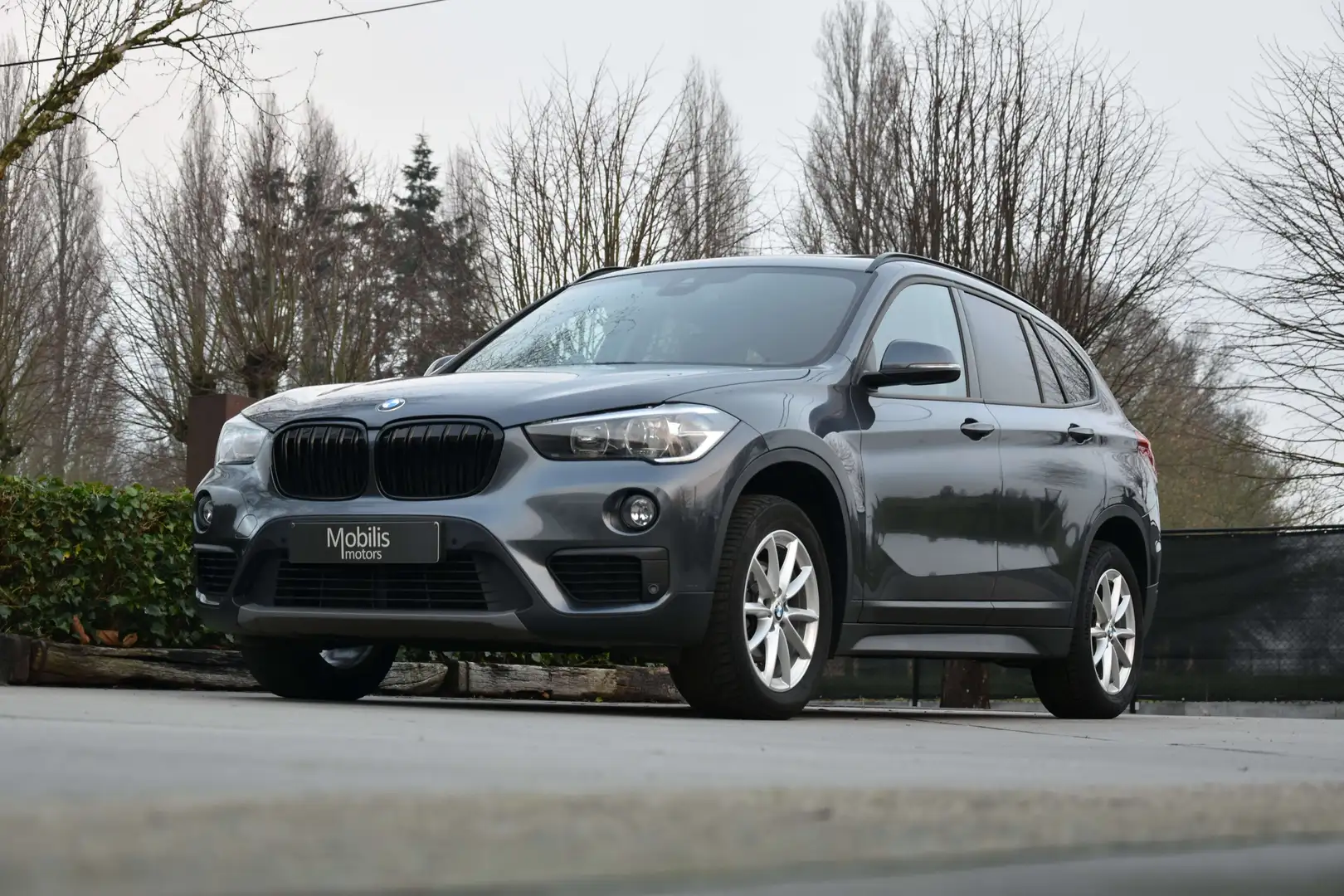 BMW X1 1.5 d sDrive16 AdBlue Grijs - 2
