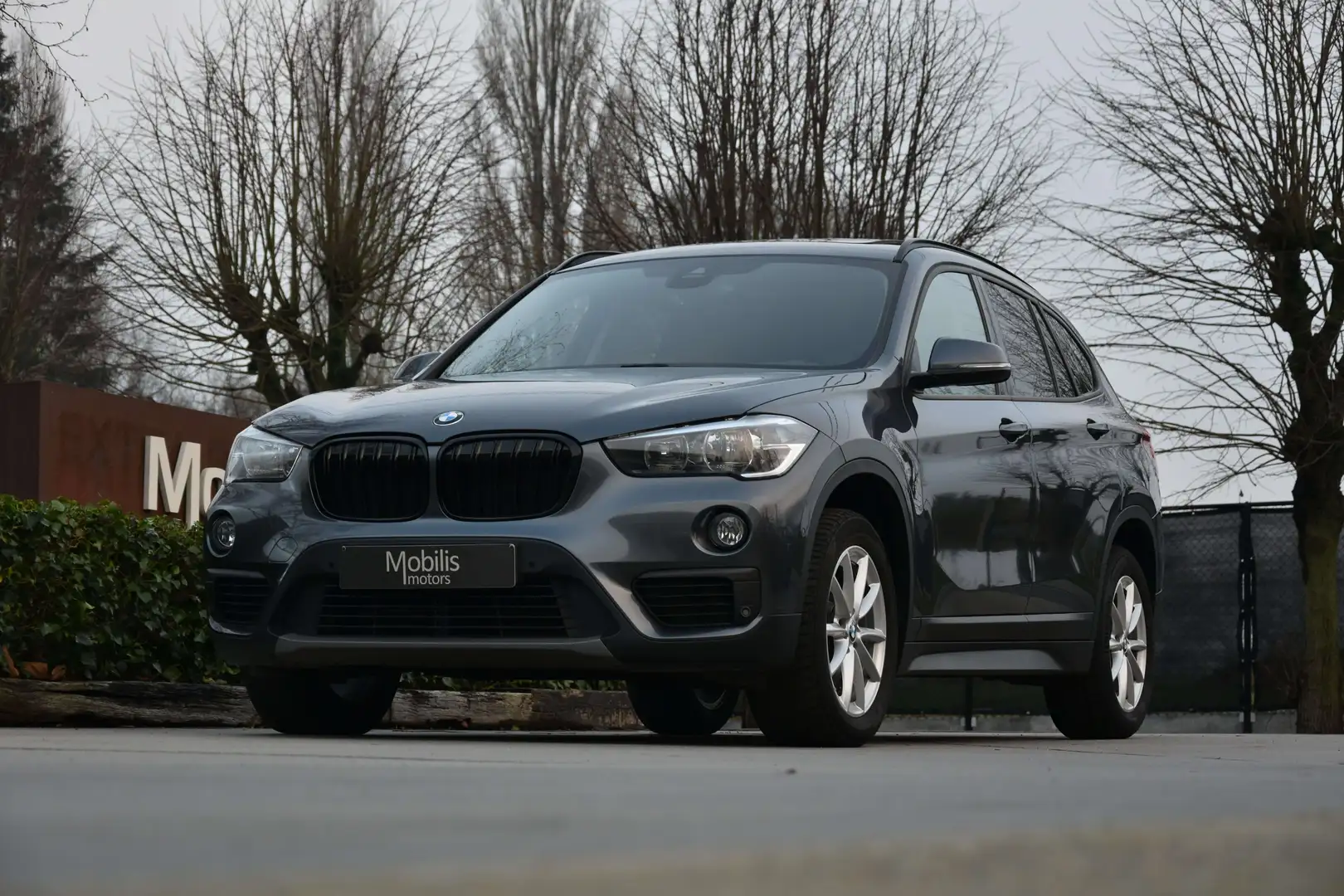 BMW X1 1.5 d sDrive16 AdBlue Grijs - 1