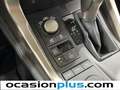 Lexus NX 300 300h Corporate 2WD Rojo - thumbnail 34
