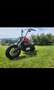 Kawasaki VN 800 Rosso - thumbnail 2