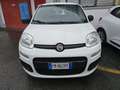 Fiat Panda 1.2 Easy 5 posti ok neopatentati Blanc - thumbnail 2