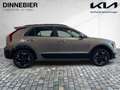 Kia Niro EV Inspiration LED+Glasdach+Navi+Kamera Grau - thumbnail 7