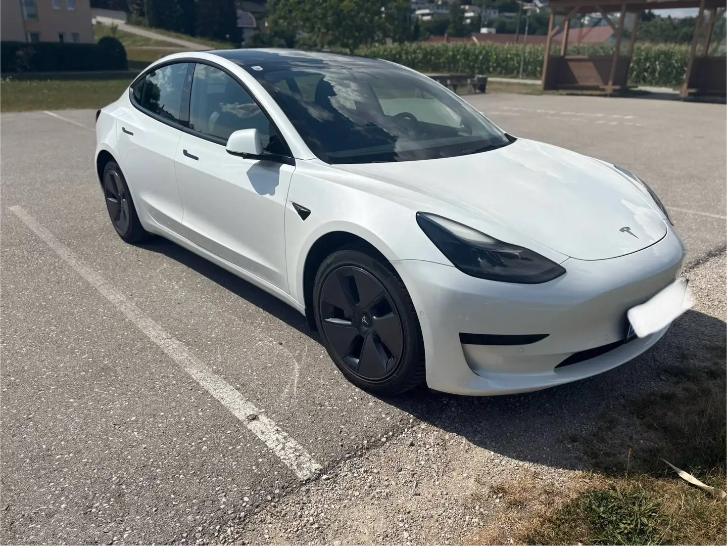 Tesla Model 3 Model 3 Standard Range RWD Plus 57,5kWh RWD Plus Weiß - 2