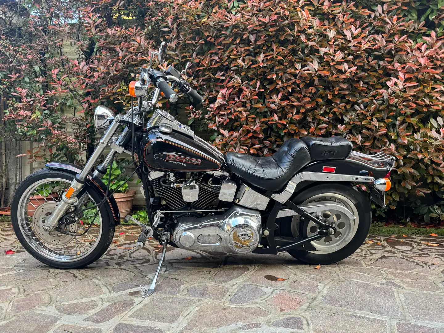 Harley-Davidson Softail FXSTC Softail Custom 1991 - 2