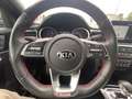 Kia ProCeed / pro_cee'd ProCeed 1.6 Turbo GT Glasdach Duplex-Abgasanlage Gris - thumbnail 14