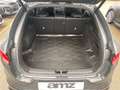 Kia ProCeed / pro_cee'd ProCeed 1.6 Turbo GT Glasdach Duplex-Abgasanlage Gris - thumbnail 13