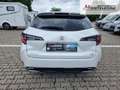 Suzuki Swace Swace Comfort+ CVT | Keyless | Sofort verfügbar! Bianco - thumbnail 4