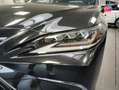 Lexus ES 300 300h Executive MY21 Touvrant Sieges chauf/ventil/cuir Volant chauf GPS Camera Carplay Schwarz - thumbnail 13