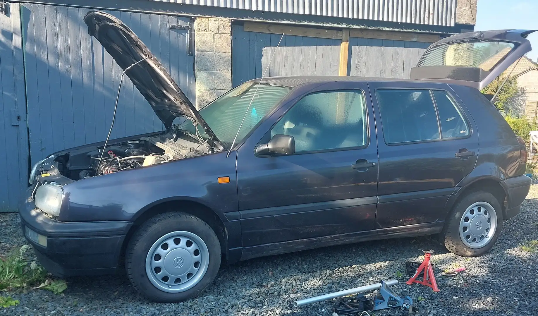 Volkswagen Golf III Edition Boston Mauve - 2