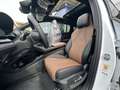 BYD Seal U 1.5 218 CV PHEV Comfort *PROMO AZZURRA* Bianco - thumbnail 7