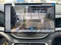 BYD Seal U 1.5 218 CV PHEV Comfort *PROMO AZZURRA* Bianco - thumbnail 14