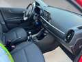 Kia Picanto 1.2 Edition 7 Rot - thumbnail 4