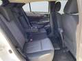 Mitsubishi Eclipse Cross BASIS PHEV 2.4 TEMP SHZ FLA LM Білий - thumbnail 11
