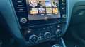 Skoda Octavia Wagon 1.6 tdi Executive 115cv dsg Bianco - thumbnail 12