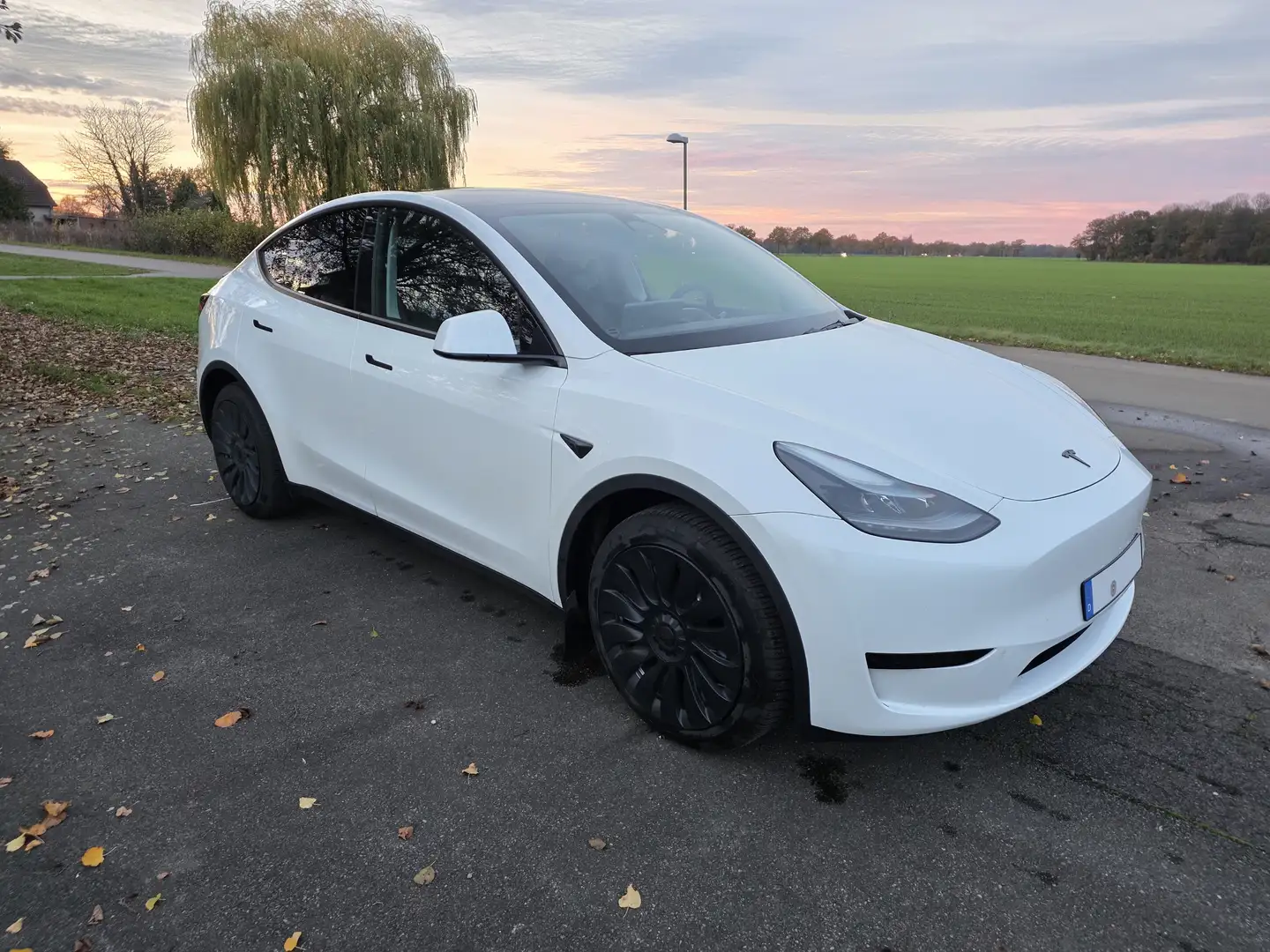Tesla Model Y 299PS, RWD, LFP, AHK, Matrix-LED, MiG, SoH 98% Weiß - 1