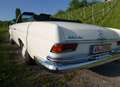 Mercedes-Benz 220 Mercedes-Benz 220 SEb Cabrio 1962 Weiß - thumbnail 4