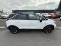 Opel Crossland X Crossland X 1.2 120 Year Cosmo Blanc - thumbnail 23