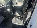 Hyundai H 350 2.5 CRDi Company (EU6) Weiß - thumbnail 8