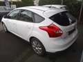 Ford Focus 1.0 EcoBoost Trend Start/Stopp Blanc - thumbnail 3