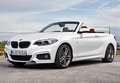 BMW 218 218dA Cabrio - thumbnail 39
