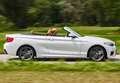BMW 218 218dA Cabrio - thumbnail 35
