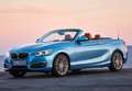 BMW 218 218dA Cabrio - thumbnail 36