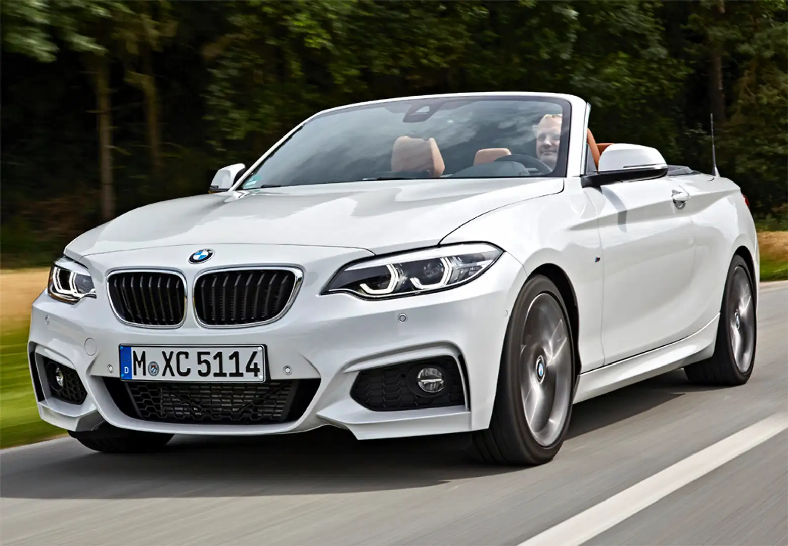 BMW 218 218dA Cabrio - 2