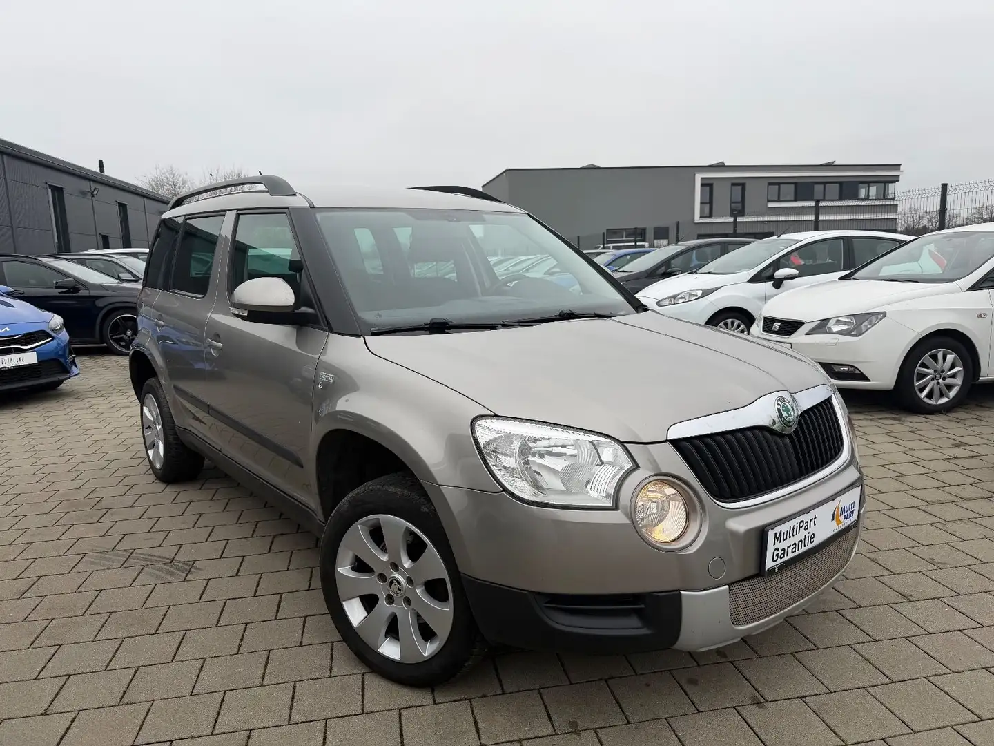 Skoda Yeti Family Beige - 1