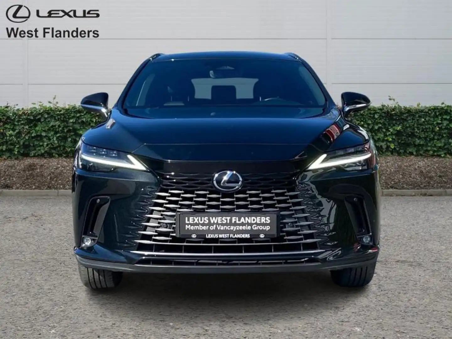 Lexus RX 350h Executive line+afn. trekhaak+c Schwarz - 2