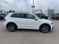 Volkswagen Tiguan Sky TDI SCR 4MOTION DSG Weiß - thumbnail 4