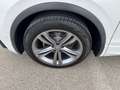 Volkswagen Tiguan Sky TDI SCR 4MOTION DSG Weiß - thumbnail 9